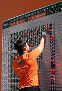 乐鱼体育平台-世界青少年搏击锦标赛中国群英尽展风采，青少年搏击公开赛