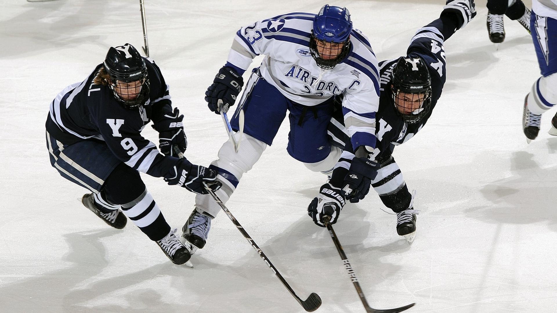 张伟丽签约新赞助商拓展个人品牌力,张伟丽 专访