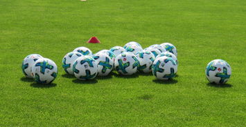 德甲积分榜更新，谁是第3轮最大赢家？，德甲积分榜更新,谁是第3轮最大赢家